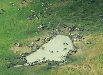 zambia/blue-lagoon-national-park/nightclub/blue-lagoon-national-park