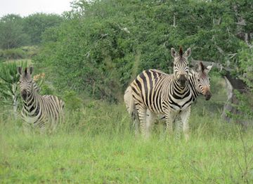 angola/kissama-national-park/nightclub/kissama-national-park-gate
