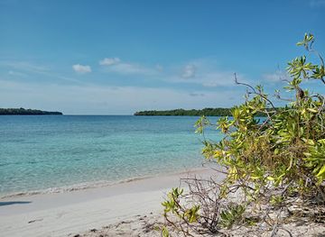 indonesia/pulau-wakatobi/nightclub/pulau-matahora