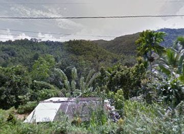 sri-lanka/ratnapura/nightclub/dunhil-pot