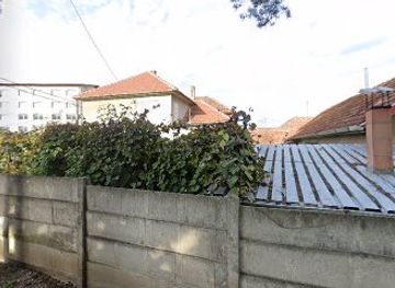 romania/retezat-national-park/nightclub/cristian-rulz-srl