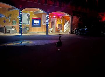 austria/upper-austria/nightclub/nightclub-eveline