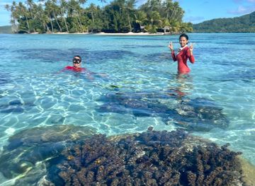 french-polynesia/huahine/nightclub/huahine-secret-tours