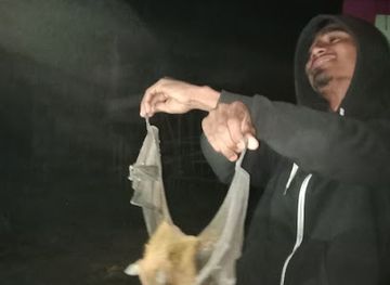 bangladesh/lawachara-national-park/nightclub/etim-khana-point