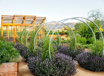 california/petaluma/nightclub/cornerstone-sonoma