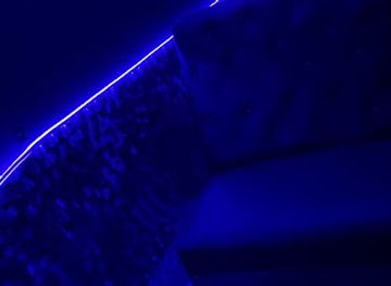 bolivia/gran-chaco/nightclub/vip-club