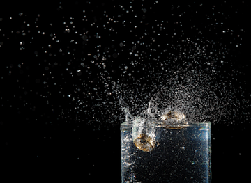 netherlands/egmond-aan-zee/nightclub/the-mobile-drink-masters