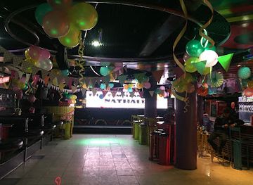 bolivia/tarija-valley/nightclub/disco-dogs-cats