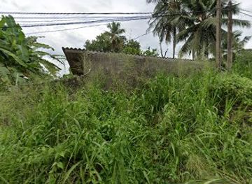 sri-lanka/pinnawala-elephant-orphanage/nightclub/dulmitha-chanthula