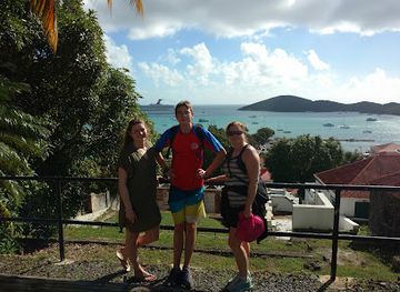 british-virgin-islands/tortola-beaches/nightclub/nicoles-beach-bar