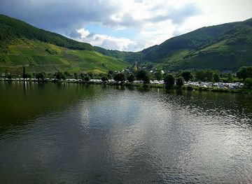germany/rhineland/nightclub/tanjas-club-im-haus-moselblick