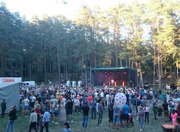 lithuania/anyksciai-treetop-walking-path/nightclub/dainuvos-adventure-valley