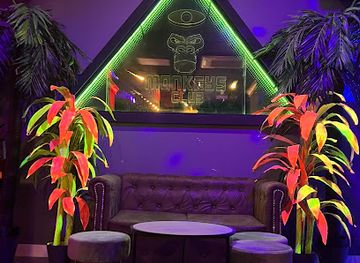 spain/valencia/l-eixample/nightclub/monkeys-club-valencia