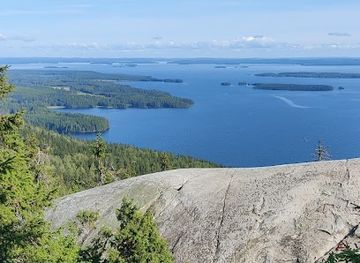 finland/koli-national-park/nightclub/koli