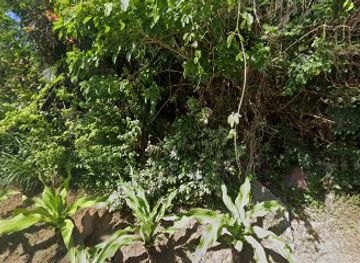 philippines/pagudpud/nightclub/hannah-s-zipline