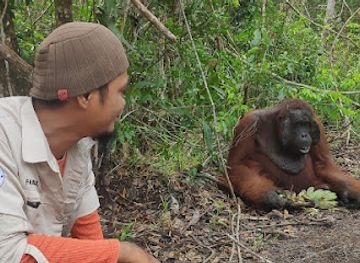 indonesia/tanjung-puting-national-park/nightclub/tanjung-puting-national-park-quayside-office