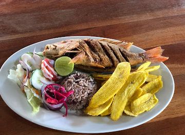 honduras/tela/nightclub/andys-bar-restaurant