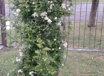 uruguay/queguay/nightclub/tecnic-disco