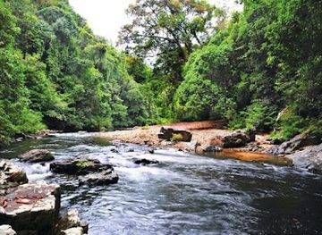 malaysia/taman-negara-national-park/nightclub/taman-negara-national-park