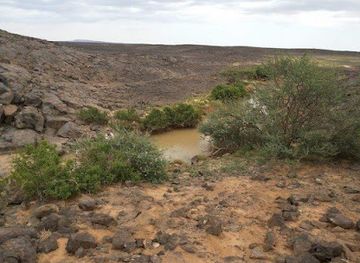 libya/al-haruj/nightclub/haruj