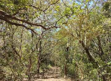 costa-rica/rincon-de-la-vieja-national-park/nightclub/santa-maria-ranger-station
