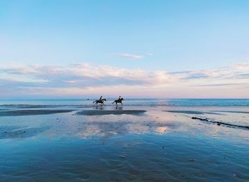 france/pays-de-la-loire/nightclub/the-garden-nightclub