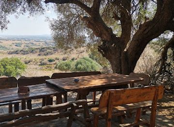 tunisia/el-haouaria/nightclub/restaurant-the-falcon-el-haouaria