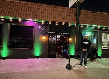 The Salty Frog Bar