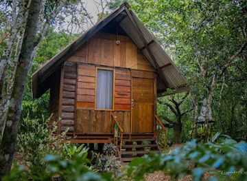 colombia/cano-cristales/nightclub/hotel-cano-cristales-makalombia