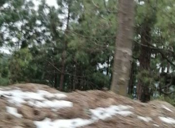 Kotli Sattian Alley