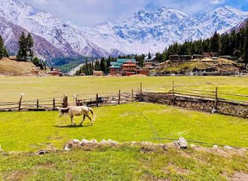 pakistan/fairy-meadows/nightclub/fairy-meadows-lake