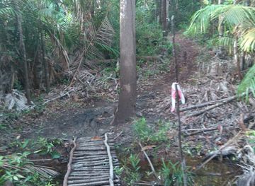 brunei/pulau-selirong-forest-reserve/nightclub/sungai-basong-recreational-park