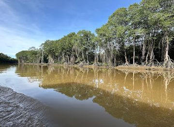 brunei/pulau-selirong-forest-reserve/nightclub/damuan-recreational-park