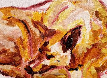 guatemala/huehuetenango/nightclub/aurelia-y-chela-art-club