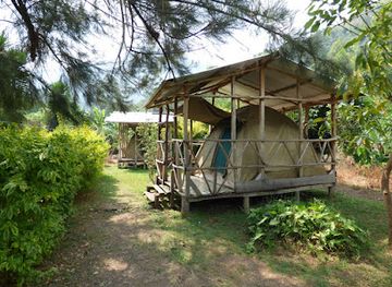 uganda/rwenzori-mountains-national-park/nightclub/rwenzori-turaco-view-campsite
