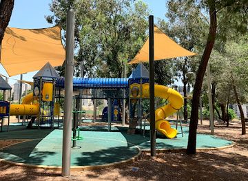 israel/bethlehem/nightclub/garden-spider-in-costa-rica