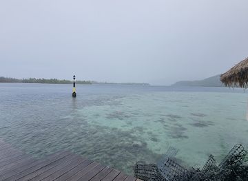 french-polynesia/huahine/nightclub/huahine-pearl-farm
