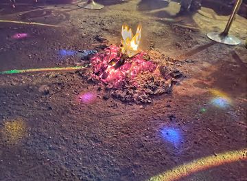 kenya/lake-nakuru-national-park/nightclub/vegas-liquor-lounge