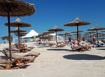 Sir Bani Yas Cruise Ship Beach