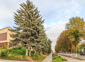 romania/moldova-area/nightclub/vogue-night-club