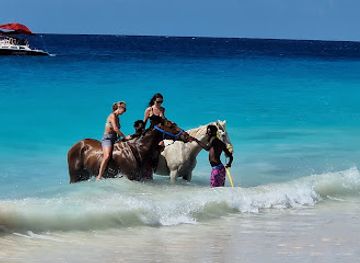 barbados/st-lawrence-gap/nightclub/splash-bar