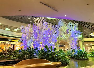 singapore/changi/nightclub/cathay-pacific-lounge