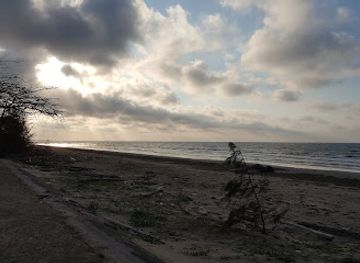 brunei/panaga/nightclub/panaga-club