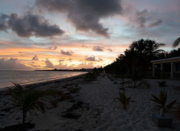 anguilla/stoney-ground/nightclub/coconuts-beachbar-and-grill