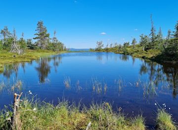 finland/riisitunturi-national-park/nightclub/riisitunturi-national-park