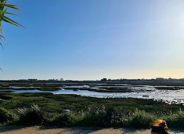 portugal/ria-formosa-natural-park/nightclub/baria