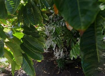 indonesia/manado/nightclub/valencia-valentine-house