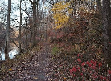 delaware/white-clay-creek-state-park/nightclub/white-clay-creek-state-park-chambers-rock-parking-area