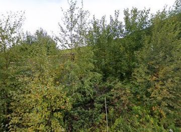 norway/oppdal/nightclub/cobra-laven-a-s