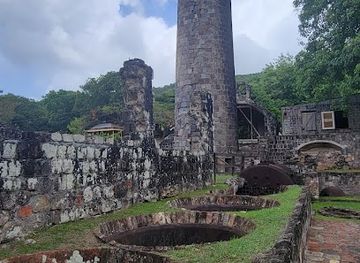 saint-kitts-and-nevis/old-road-town/nightclub/sky-safari-zipline